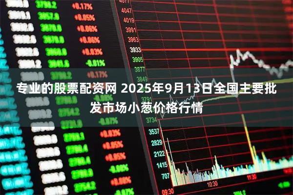 专业的股票配资网 2025年9月13日全国主要批发市场小葱价格行情