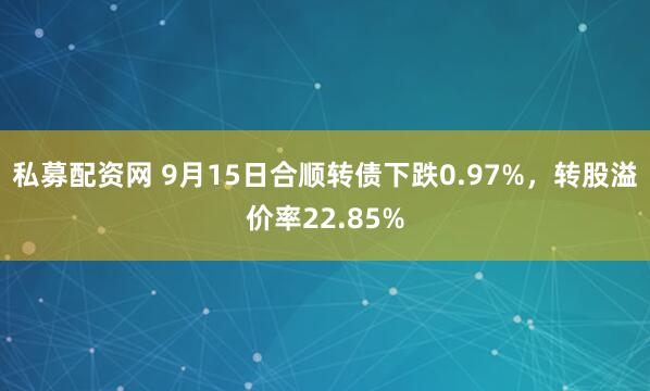 私募配资网 9月15日合顺转债下跌0.97%，转股溢价率22.85%