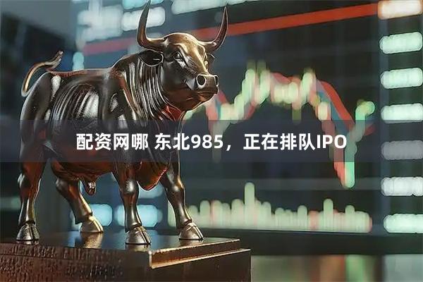 配资网哪 东北985，正在排队IPO